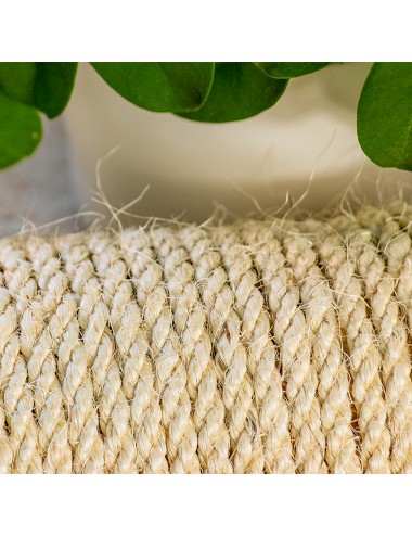 Sisal rope 12 mm 50 m